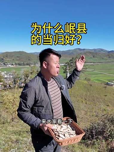 真心建议喜欢用当归的姐妹试试,这种正宗的岷县当归头片,不是随处都能买到的,遇到了一定要多囤