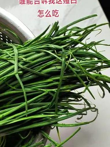 薤白怎么吃 植物科普 自学中医 野菜美食 藠头的功效与作用 挖野菜