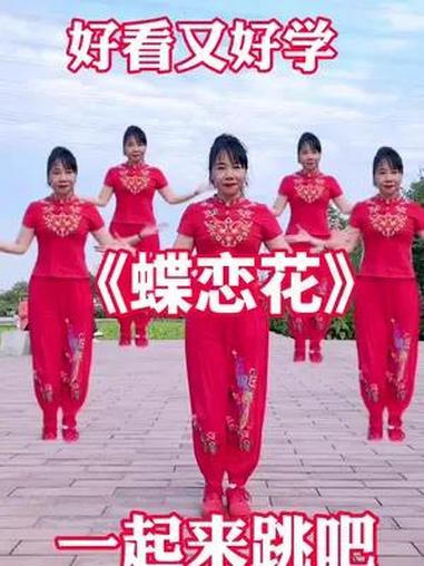 《蝶恋花》好看又好学!一学就会系列 零基础学舞蹈 喜欢跳舞的一起来