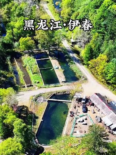 这就是西林的12公里,是一个远离城市喧嚣的世外桃源,也是这里的好环境养殖了美味的冷水鱼 风