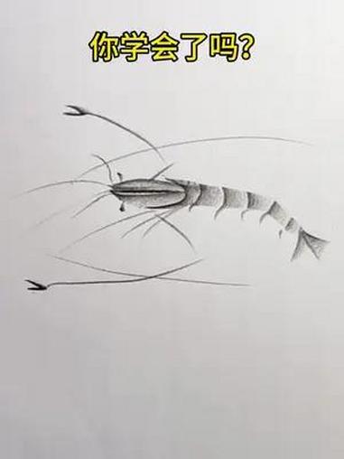 画画是个技术活,人人都能学会 画100素描画第十课,虾 炭笔画 一学就会系列 素描 零基础