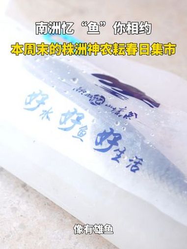 “鱼”你相约本周末株洲神农耘春日集市!直播株洲