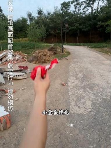 童年回忆小金鱼 摔炮 小金鱼