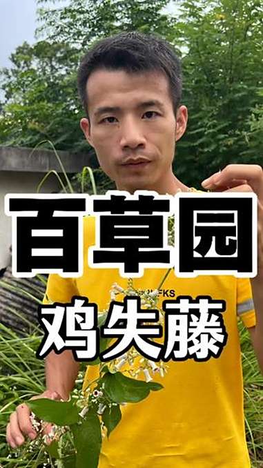 你见过这种鸡屎藤吗?它的味道可不友好,堪称植物届的生化战士。大家知道它叫什么名字吗?识百草