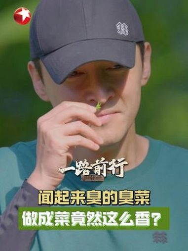 闻起来臭的臭菜 做成菜竟然这么香?西双版纳有一种野菜叫羽叶金合欢,当地人叫它“臭菜”,闻起