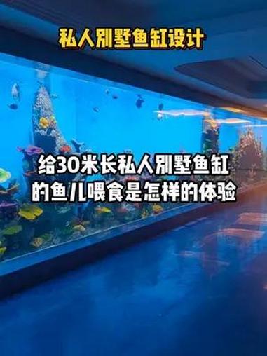 给30米长私人别墅鱼缸的鱼儿喂食是怎样的体验?别墅鱼缸设计 大型鱼缸 亚克力鱼缸 鱼缸维护