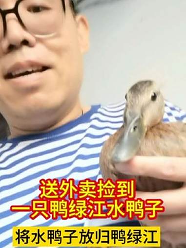 送外卖捡到一只鸭绿江水鸭子,咱把它送到大江边,飞得嘎嘎好,没有一点问题 神奇动物在抖音 野