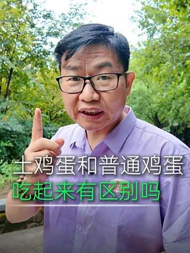 土鸡蛋和普通鸡蛋,口感居然有这区别?小时候的味道我知道 鸡蛋 土鸡蛋 营养早餐 一天吃几个