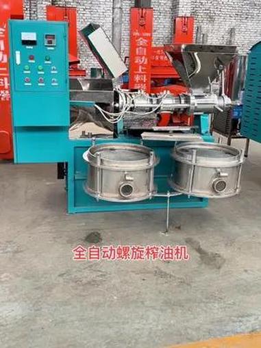 100型全自动螺旋榨油机 油坊 油菜籽榨油机 榨油坊 100型榨油机 三农