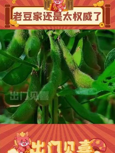 合着我吃一碗麻辣烫全是毛豆家的啦 毛豆 豆泡 万万没想到 娱乐评论大赏