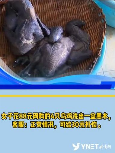 女子花88元网购的4只乌鸡洗出一盆黑水,客服:正常情况,可给30元补偿