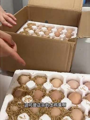 散养土鸡蛋 土鸡蛋 鸡蛋 新鲜土鸡蛋