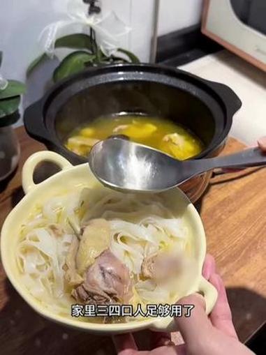 #砂锅 #炖汤 #煲汤 #养生汤 #电砂锅炖锅 h