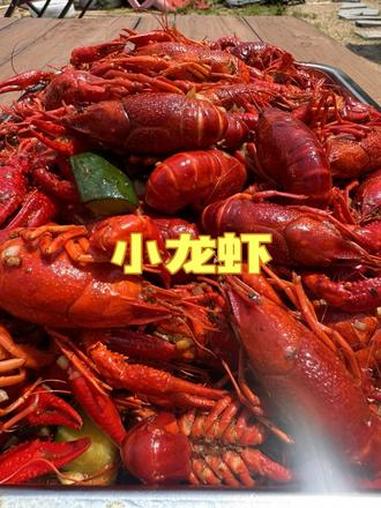 #新农人计划2026#小龙虾#爱做饭的梅子#广西农村人的一天 今天给姐妹们做了香辣小龙虾，