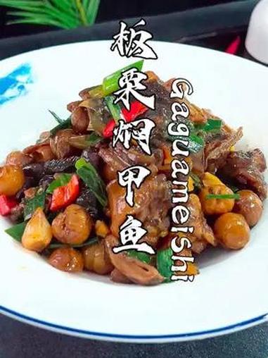 板栗焖甲鱼 以后家里有甲鱼,还是用红焖的做法,鲜香下饭,胶质感满满
