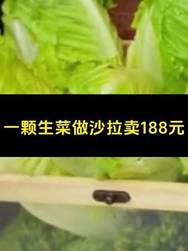 一颗生菜做沙拉卖188元上海一家网红餐厅宣布永久闭店 网红餐厅 天价沙拉