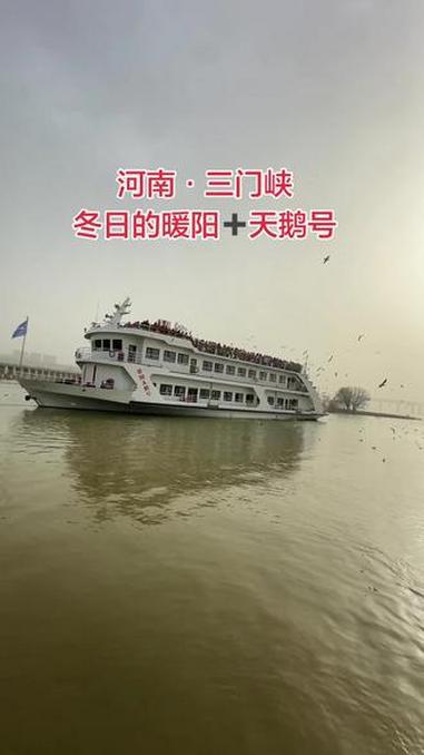 太美了#三门峡天鹅湖 #天鹅号游轮 #三门峡吃喝玩乐 #真实生活分享计划 #抖音二创激励计