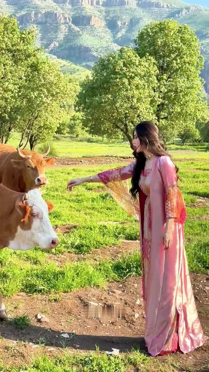 印度贵族美女的下午茶太高端了！