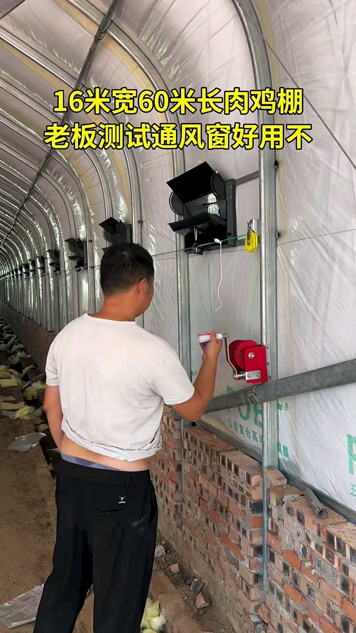 蛋鸡养殖大棚已经建好,大家可以参考