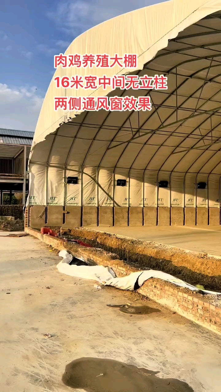 大家好,这是一栋肉鸡养殖大棚,养鸡可以参考
