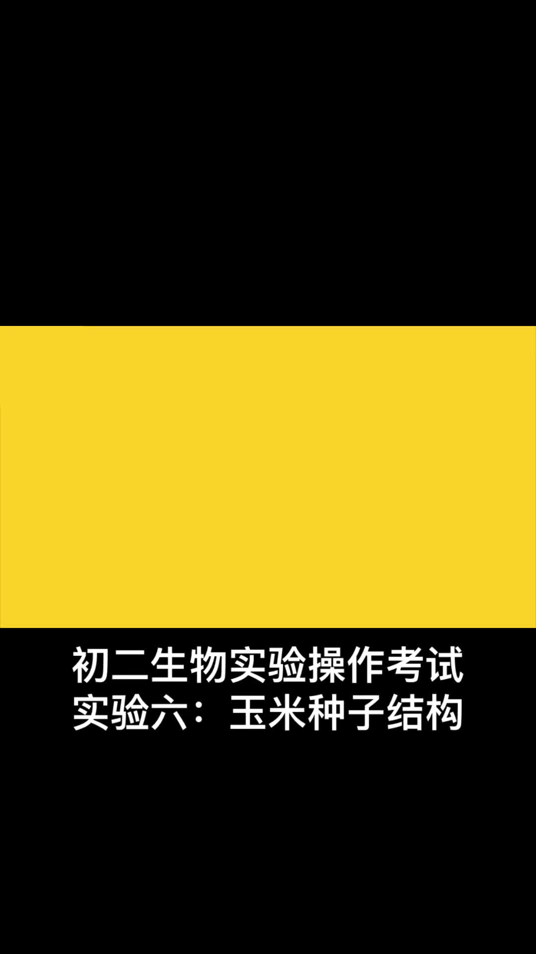 中考-实验操作考试(生物):实验六玉米种子