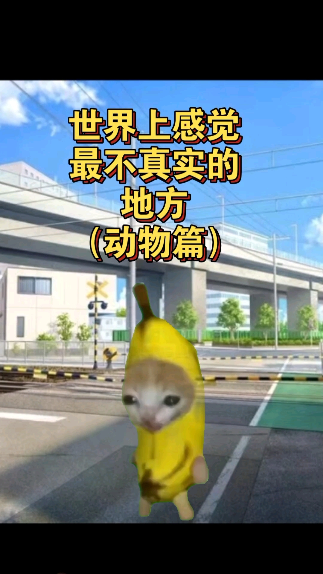 注意看视频时长是牢大秒