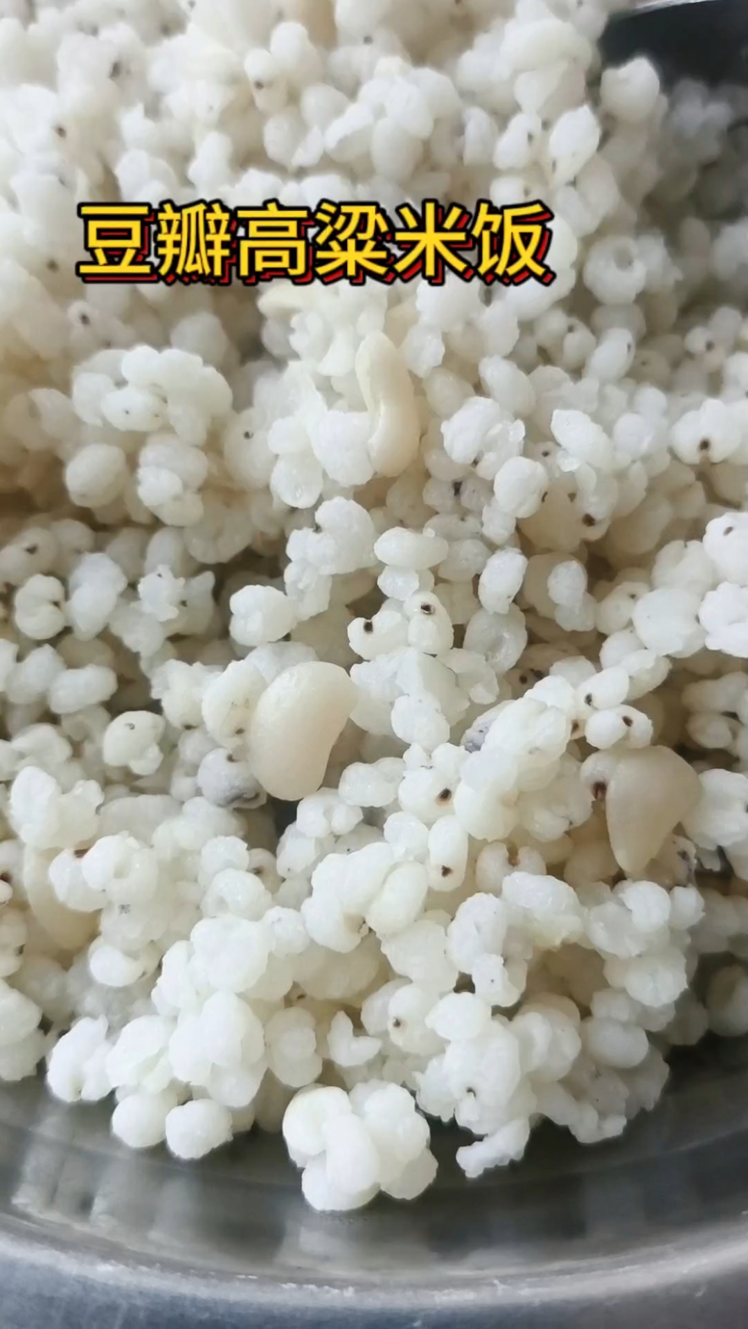 豆瓣高粱米饭,减脂期粗粮饭低脂低糖碳水