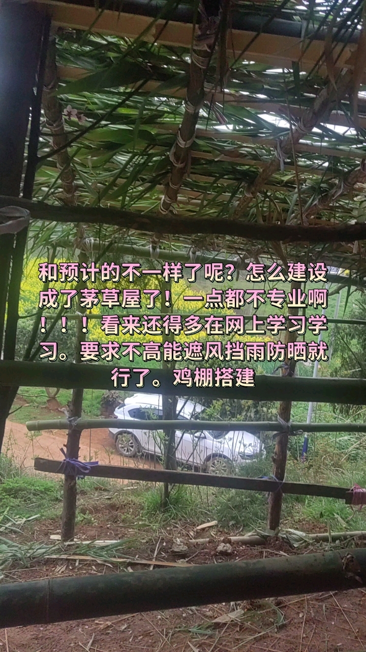鸡棚搭建中,持续更新。加油,确实不想打螺丝了。#返乡创业