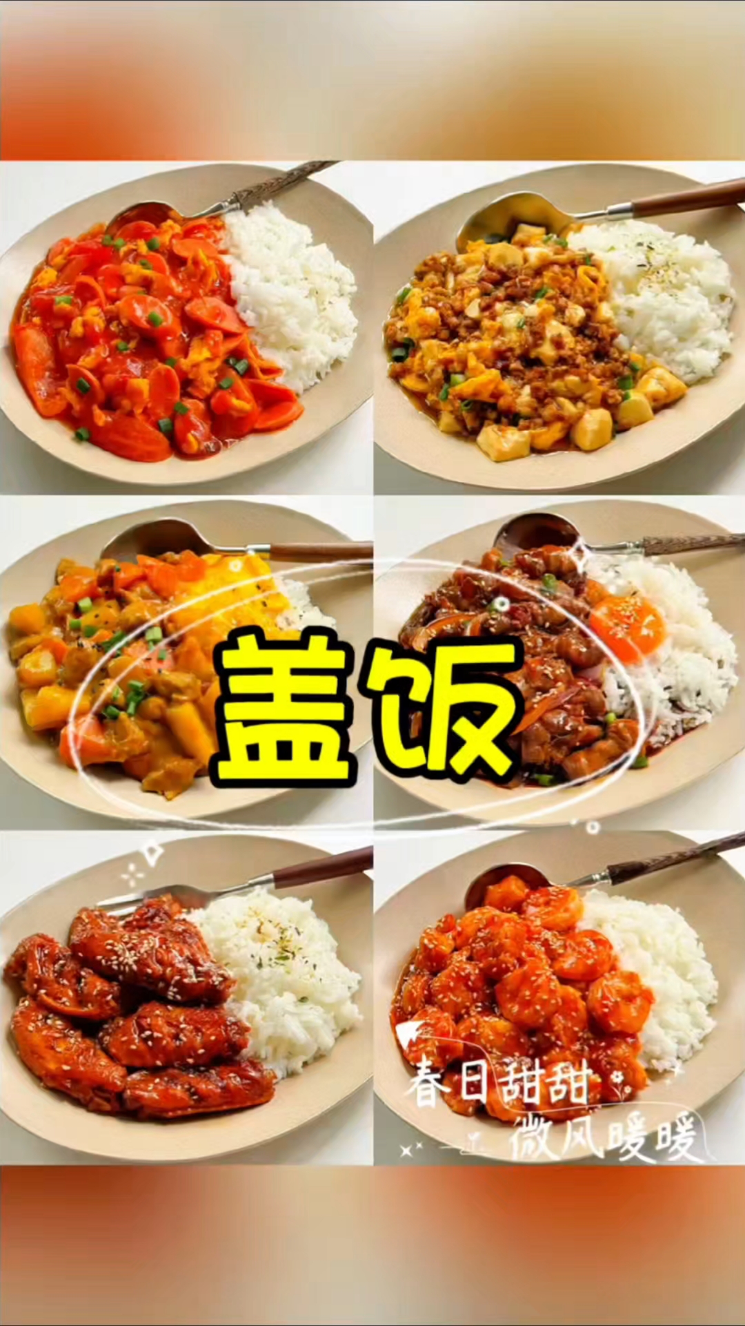 分享6款家常盖饭，做法简单，好吃舔盘#盖饭 #拌饭 #家常菜 #健康美食自己做 #真实生活