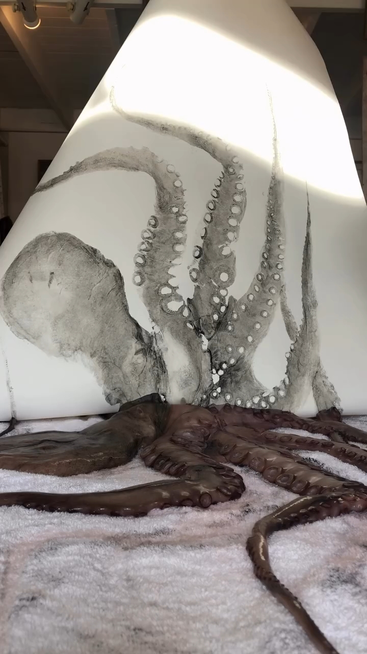 画章鱼的简单方法