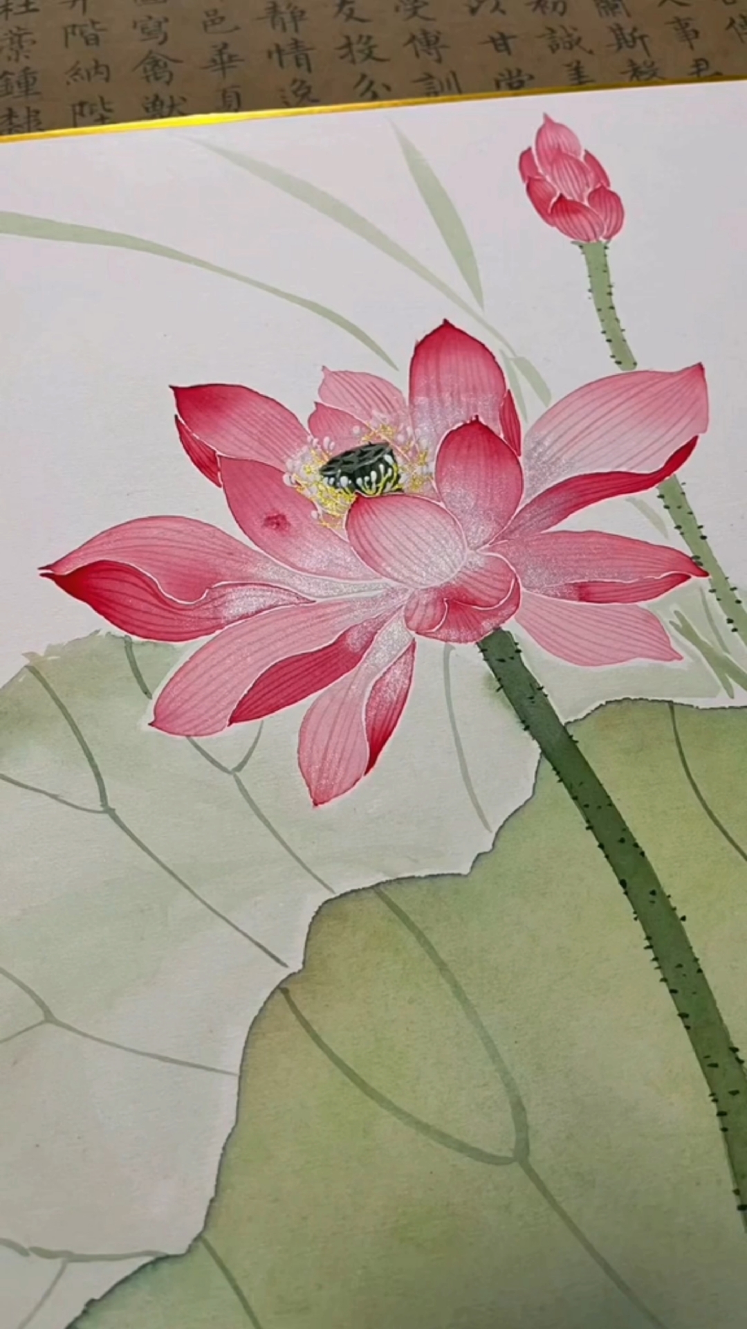 国画荷花绘画教程