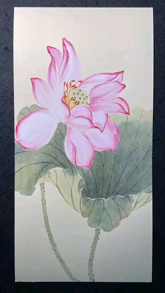 国画荷花绘画教程