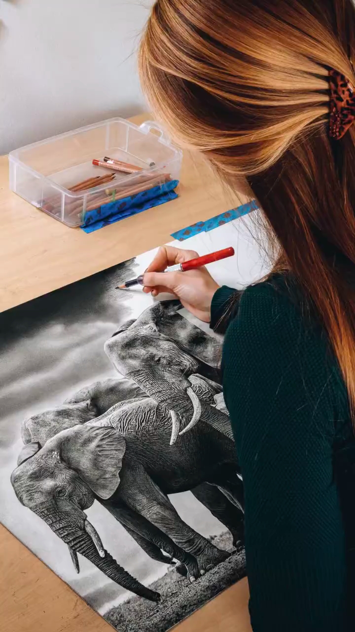超写实动物画集