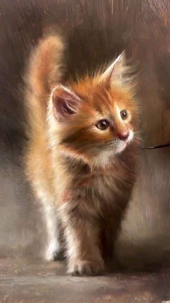 如何画一只可爱的猫