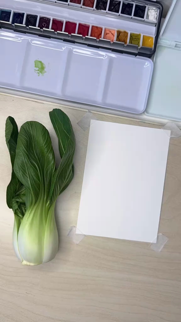 如何画水彩小油菜