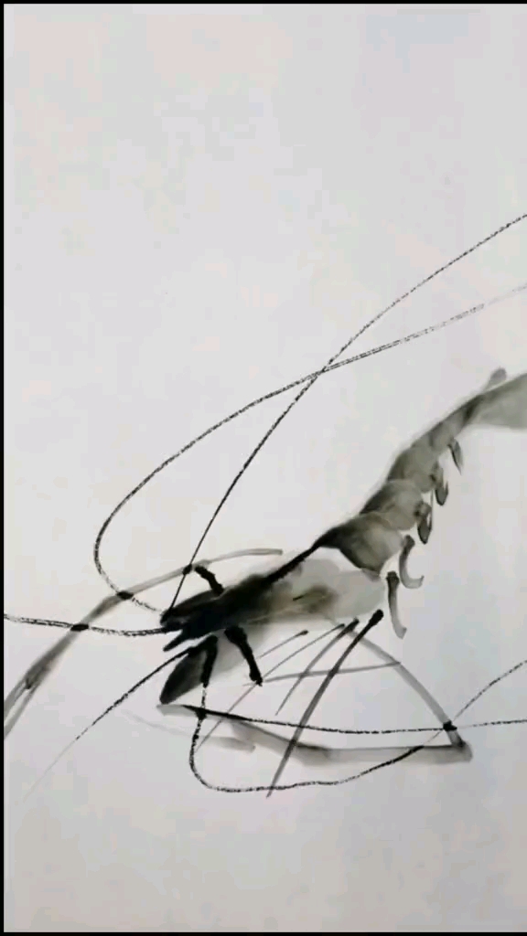 国画教程:如何画虾