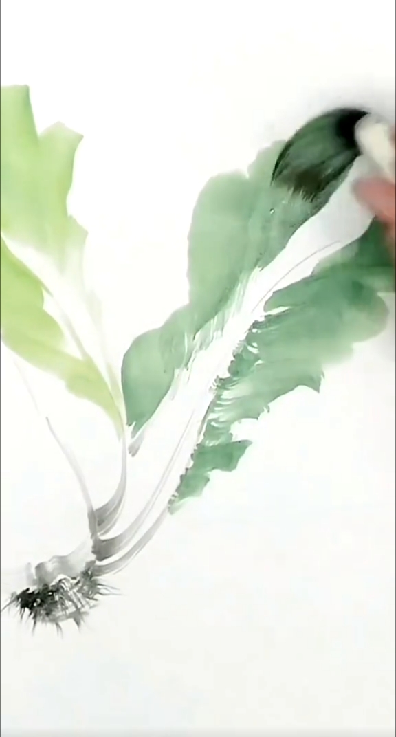 国画教程:如何画大白菜