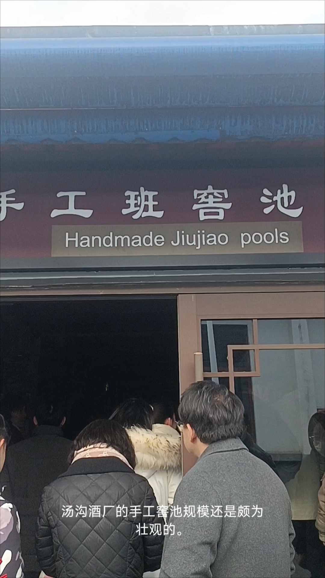 汤沟酒厂的手工窖池规模还是颇为壮观的。