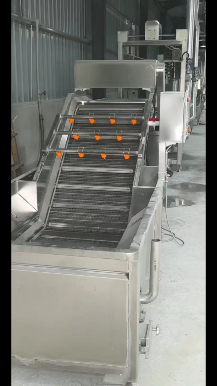 鲍鱼加工流水线 黑木耳清洗机 食用菌汽泡清洗机