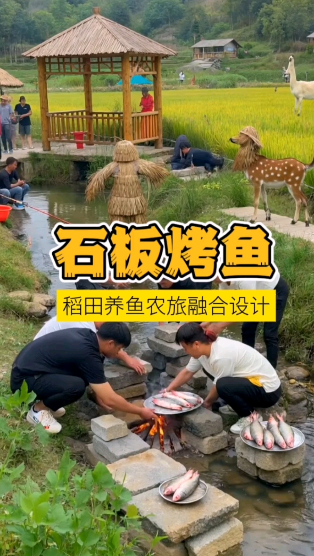 石板烤鱼,稻田养鱼普诗玛农旅融合规划设计
