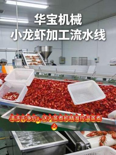 华宝机械小龙虾加工厂还在靠人工？全自动小龙虾加工设备，清洗蒸煮分选一体化，产量翻倍成本直降