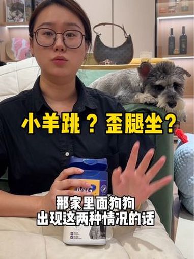 鲨鱼软骨素可不是智商税,活泼好动的,胖胖的以及年纪大的狗狗建议尽早开始养护～狗狗 萌宠好物