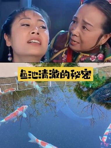 终于知道鱼池清澈的秘密了 煦瑞生态水系统,锦鲤鱼池设计、施工、锦鲤、养护,一条龙服务。锦鲤