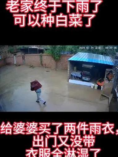 玉米红薯土豆都晒死了,下雨了,还好可以种白菜,到冬天就跟老娘天天吃白菜吧!炒白菜、炖白菜、