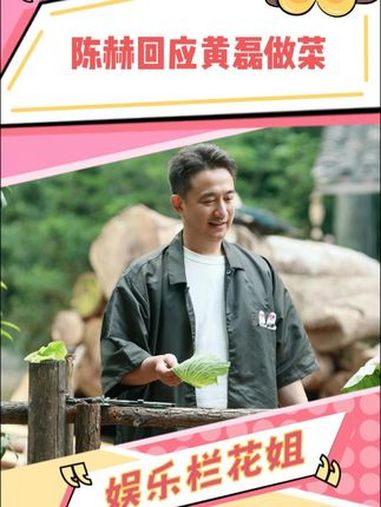 到底如何呢 黄磊 陈赫 黄磊做菜