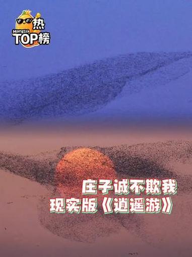 这一刻,真正懂得了庄子的浪漫 北冥有鱼其名为鲲 山东 庄子 浪漫 逍遥游