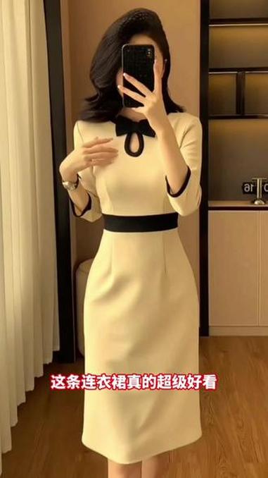 2025早秋新款高档通勤女装连衣裙气质高级感修身显瘦职业裙子 高级感穿搭 优雅气质 连衣裙