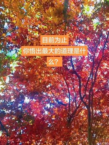 治愈 你悟出最大的道理是什么？#真实生活分享计划#治愈风景#情感文案#图文来了 #图文伙伴