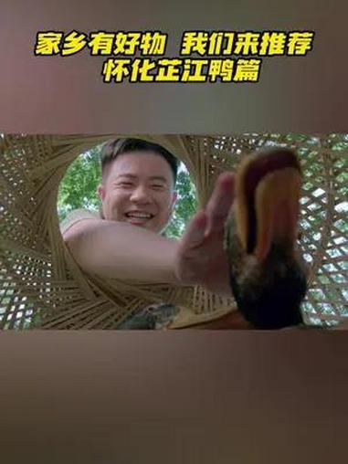 2024 家乡有好物我们来推荐 怀化芷江鸭篇  风往哪儿吹,是风的事;但想你的风,终于吹到