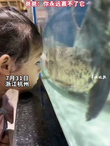 3岁女孩和鱼比赛“不眨眼”,爸爸:你永远赢不了它 热点 萌娃